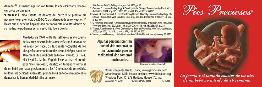 Jewelry, Lapel Pin, Precious Feet, Gold-Colored, Spanish Fetal Dev Card