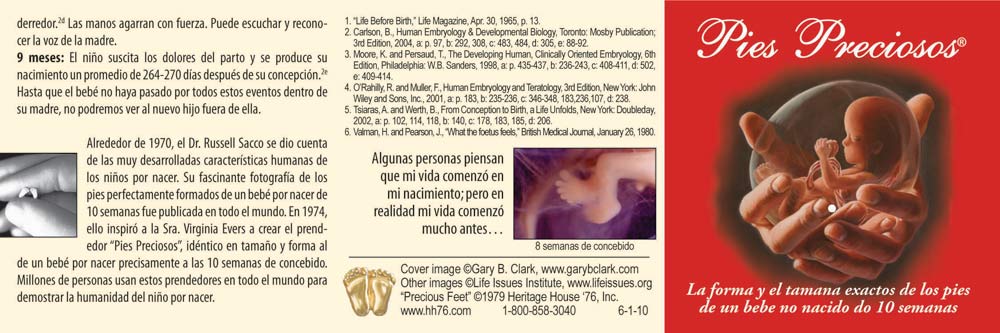 Jewelry, Lapel Pin, Precious Feet, Silver-Colored, Spanish Fetal Dev Card