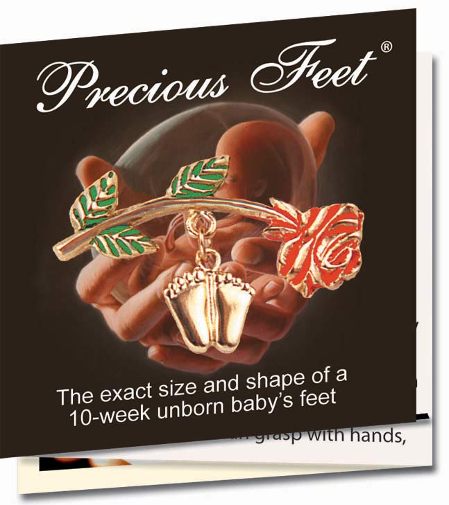 Jewelry, Lapel Pin, Precious Feet, 14k Gold Plate, Rose 
