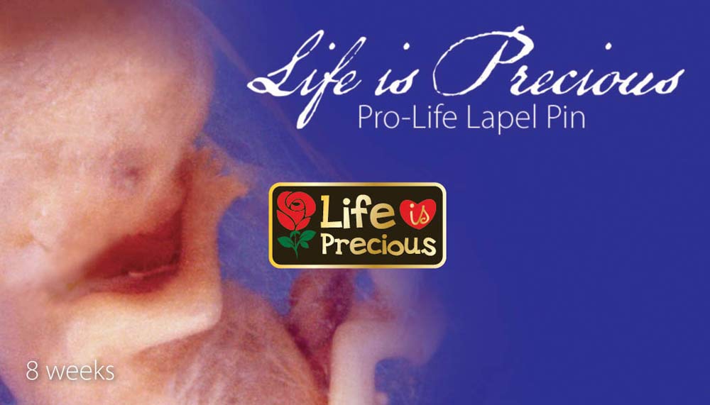 Jewelry, Lapel Pin, Life is Precious, 14K Gold Plated 