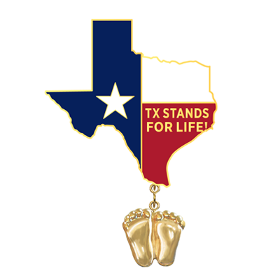 Jewelry, Lapel Pin, Precious Feet, 14K Gold Plated, Texas Flag