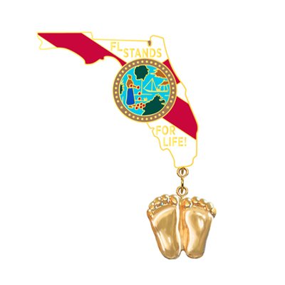 Jewelry, Lapel Pin, Precious Feet, 14K Gold Plated, Florida Flag
