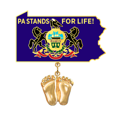 Jewelry, Lapel Pin, Precious Feet, 14K Gold Plated, Pennsylvania Flag