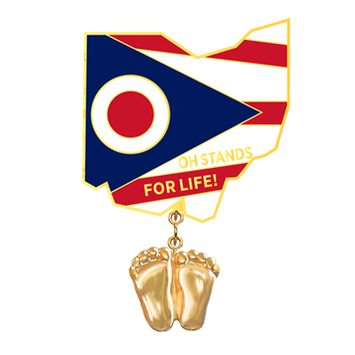Jewelry, Lapel Pin, Precious Feet, 14K Gold Plated, Ohio Flag