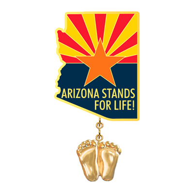 Jewelry, Lapel Pin, Precious Feet, 14K Gold Plated, Arizona Flag