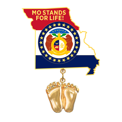 Jewelry, Lapel Pin, Precious Feet, 14K Gold Plated, Missouri Flag