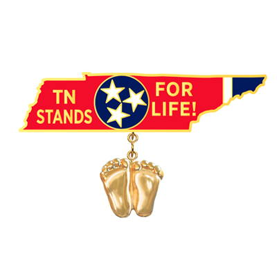 Jewelry, Lapel Pin, Precious Feet, 14K Gold Plated, Tennessee Flag