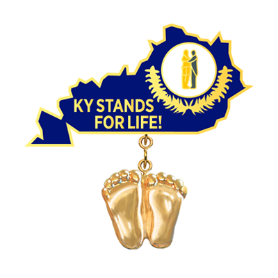 Jewelry, Lapel Pin, Precious Feet, 14K Gold Plated, Kentucky Flag