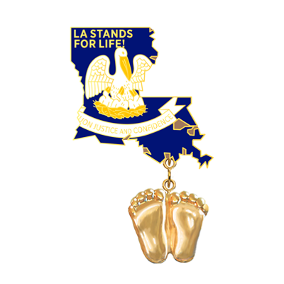 Jewelry, Lapel Pin, Precious Feet, 14K Gold Plated, Louisiana Flag