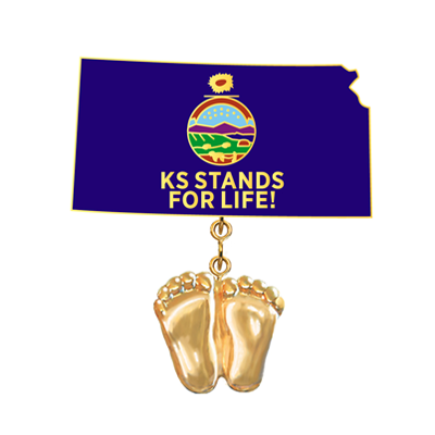 Jewelry, Lapel Pin, Precious Feet, 14K Gold Plated, Kansas Flag