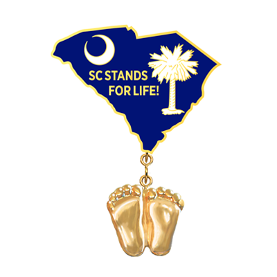 Jewelry, Lapel Pin, Precious Feet, 14K Gold Plated, South Carolina Flag