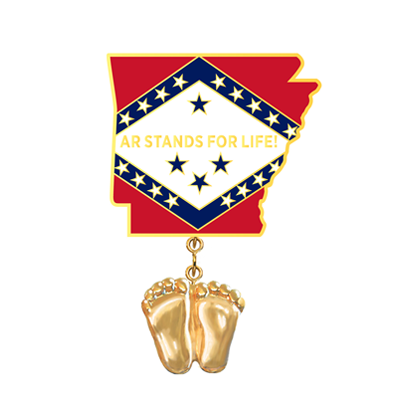 Jewelry, Lapel Pin, Precious Feet, 14K Gold Plated, Arkansas Flag