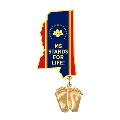 Jewelry, Lapel Pin, Precious Feet, 14K Gold Plated, Mississippi Flag