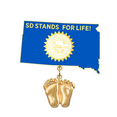 Jewelry, Lapel Pin, Precious Feet, 14K Gold Plated, South Dakota Flag