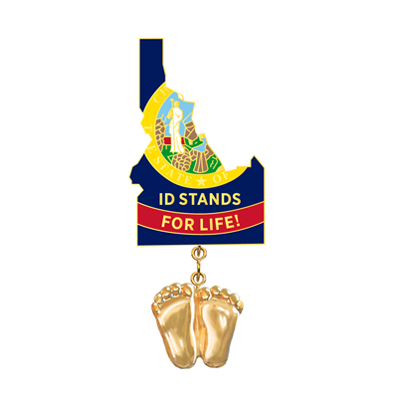 Jewelry, Lapel Pin, Precious Feet, 14K Gold Plated, Idaho Flag