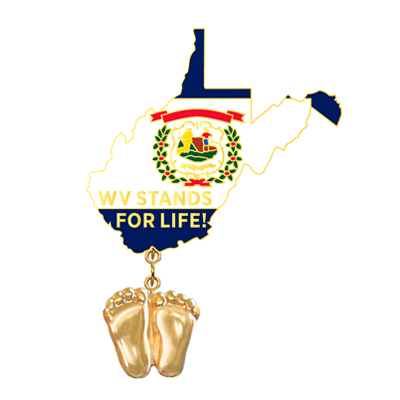 Jewelry, Lapel Pin, Precious Feet, 14K Gold Plated, West Virginia Flag
