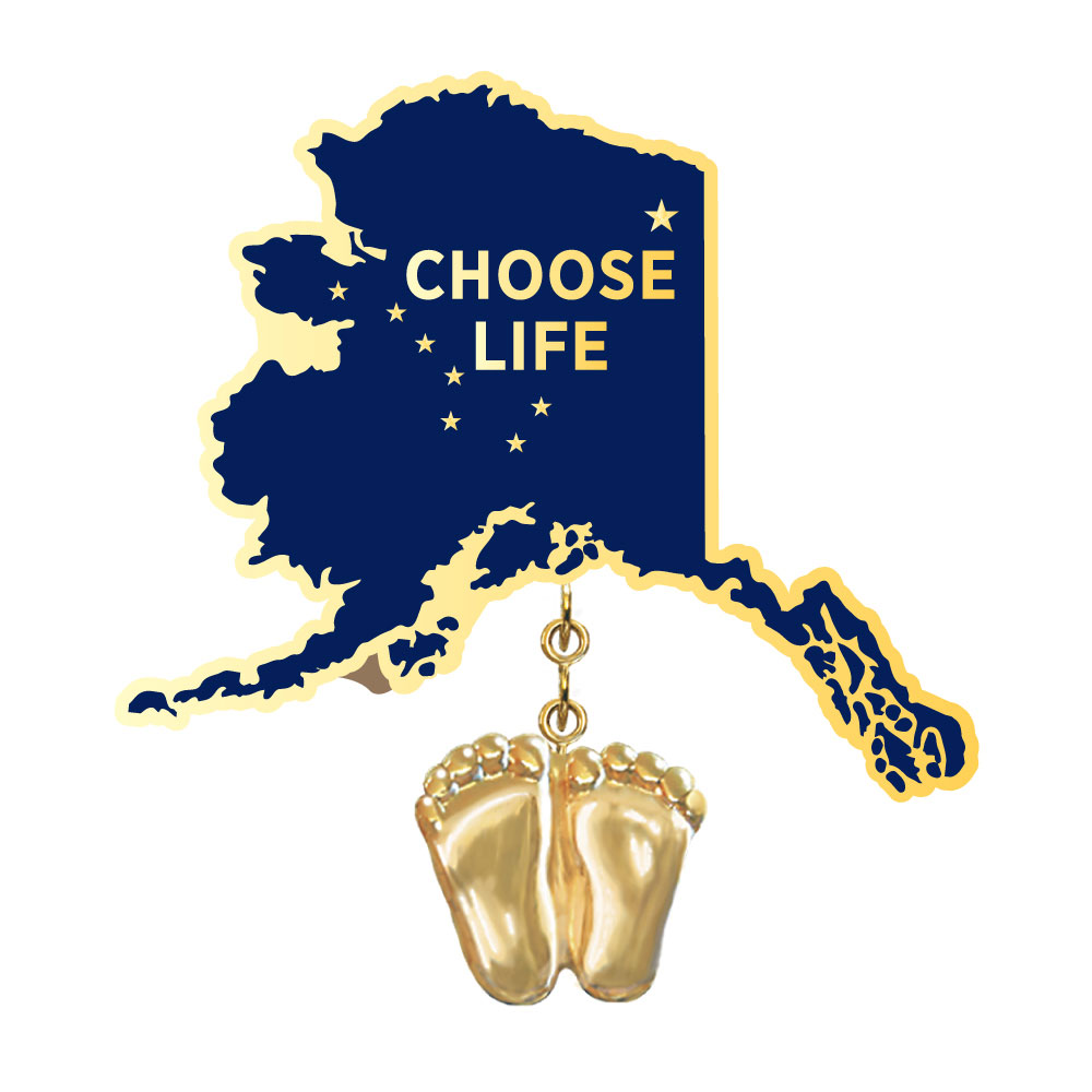Jewelry, Lapel Pin, Precious Feet, 14K Gold Plated, Alaska Flag