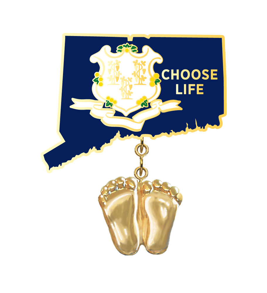 Jewelry, Lapel Pin, Precious Feet, 14K Gold Plated, Connecticut Flag