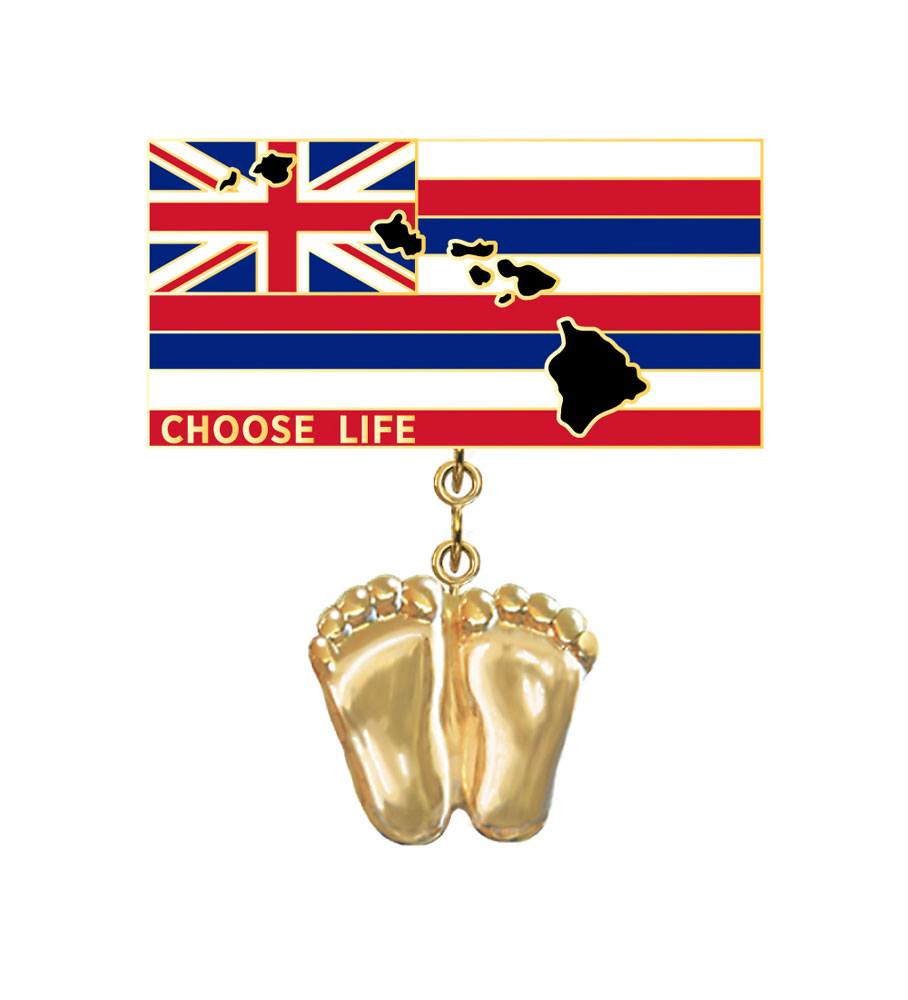 Jewelry, Lapel Pin, Precious Feet, 14K Gold Plated, Hawaii Flag