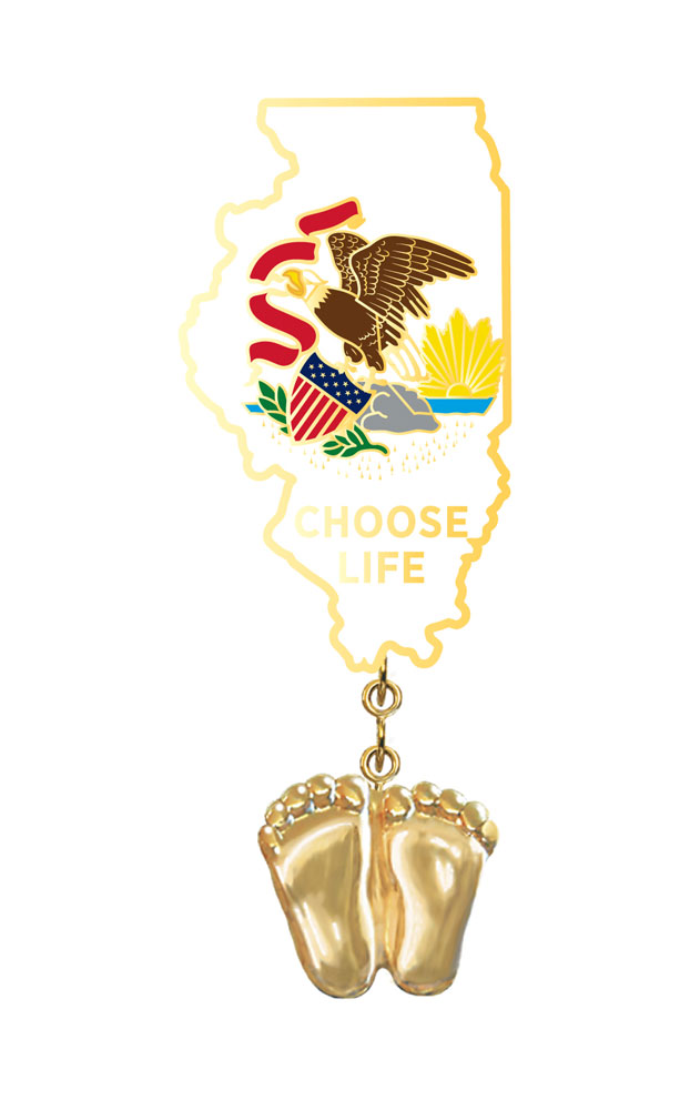 Jewelry, Lapel Pin, Precious Feet, 14K Gold Plated, Illinois Flag
