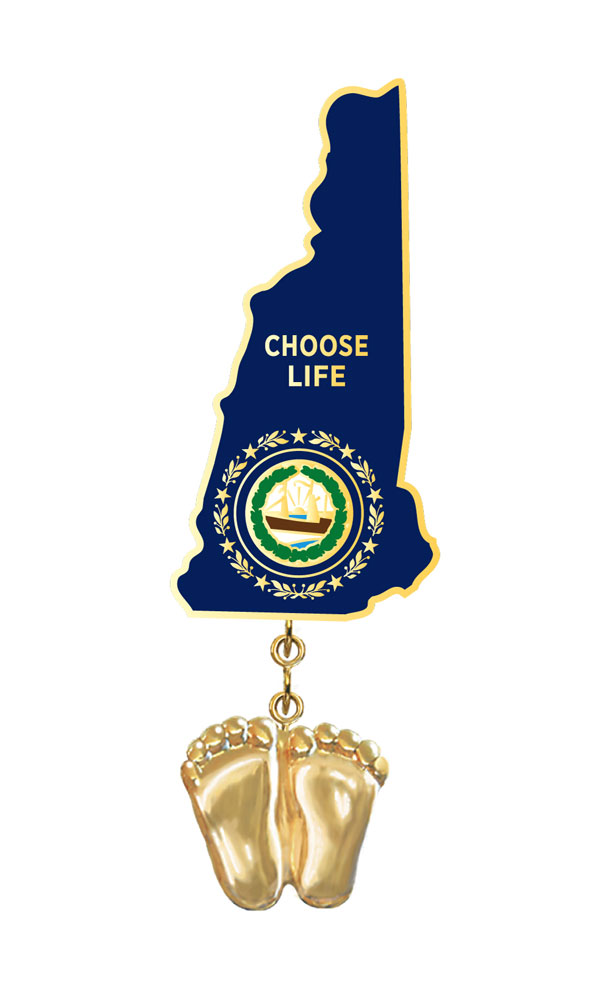 Jewelry, Lapel Pin, Precious Feet, 14K Gold Plated, New Hampshire Flag