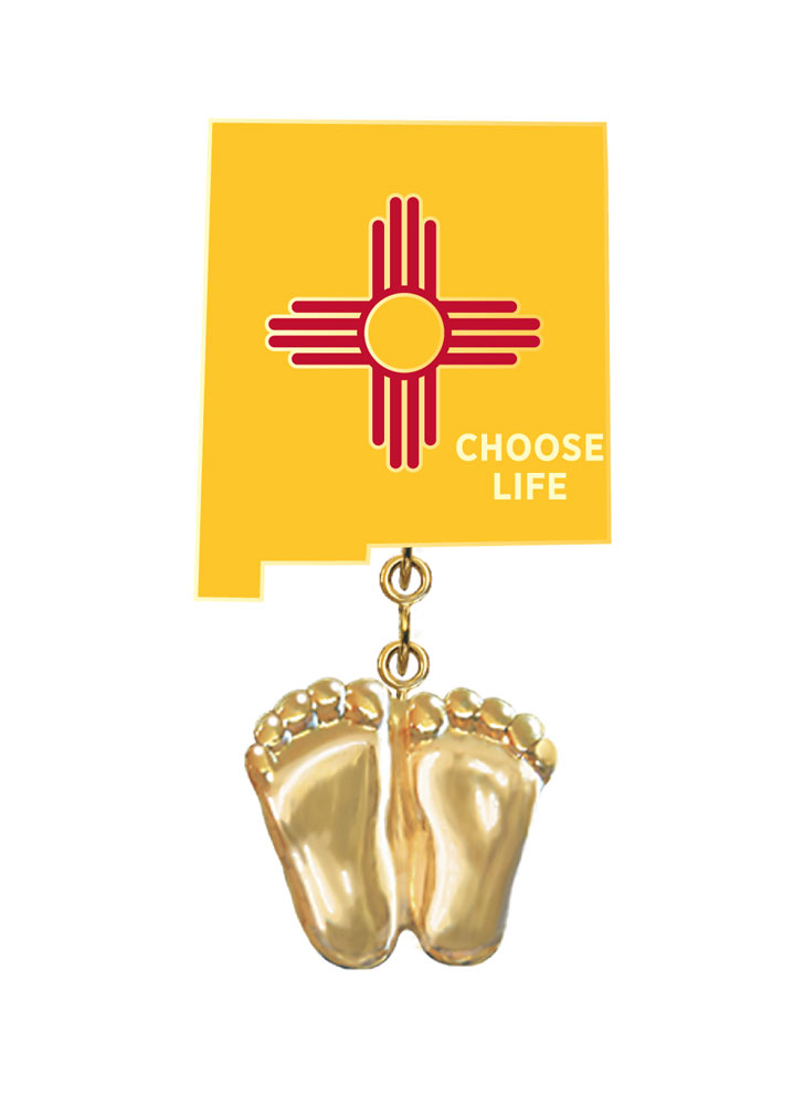 Jewelry, Lapel Pin, Precious Feet, 14K Gold Plated, New Mexico Flag