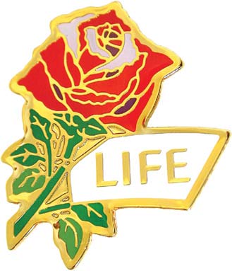 Jewelry, Lapel Pin, Life Rose, 14K Gold Plated