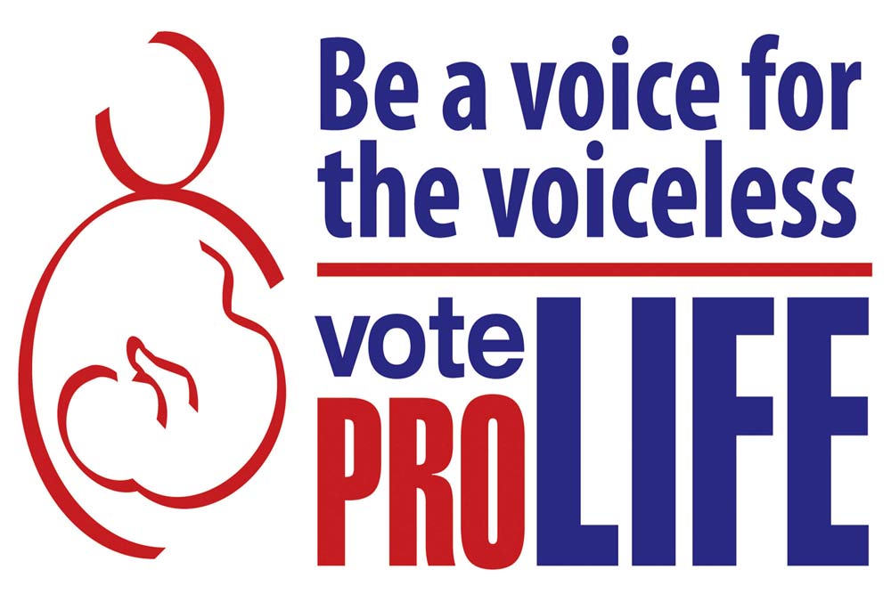 Yard Sign, Vote Pro-Life