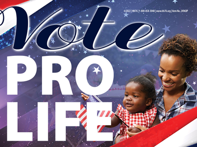 Yard Sign, Vote Pro-Life