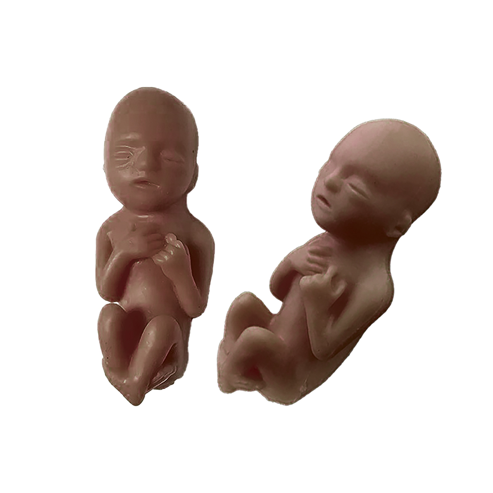 Fetal Model, Precious One, 10 Week Ethnic, English Card , 50/pk