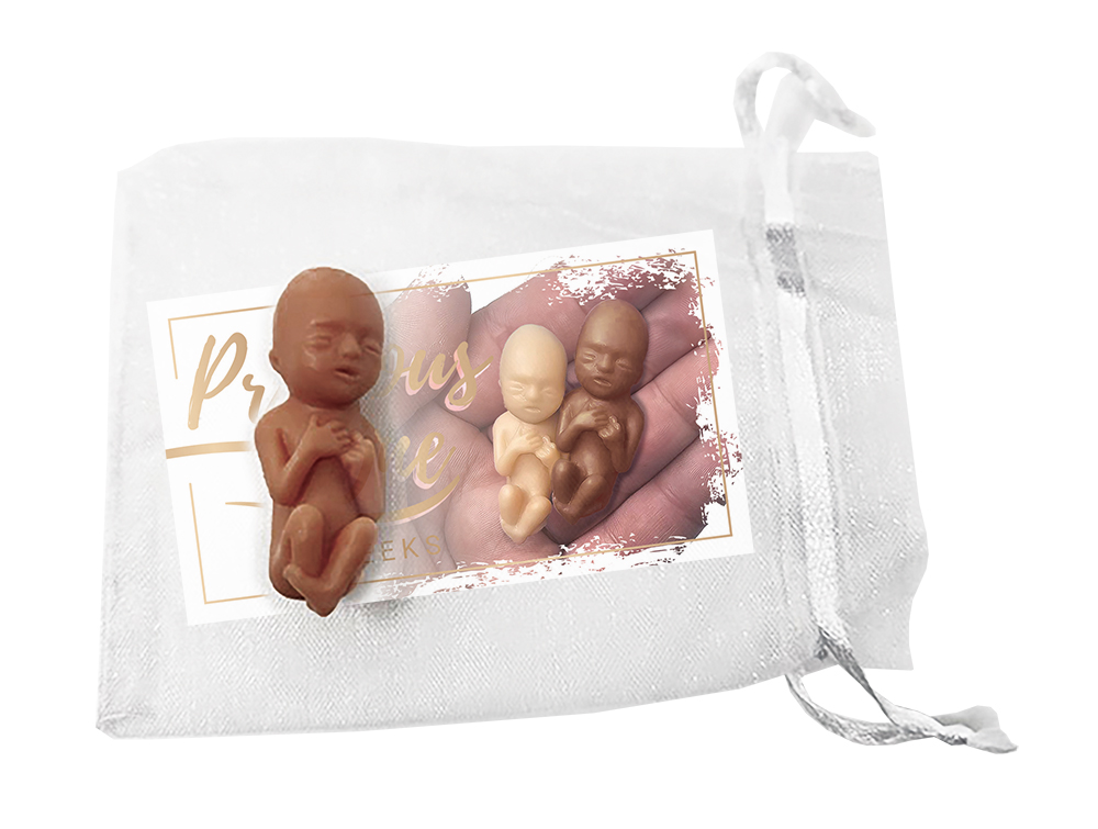 Fetal Model, Precious One, 10 Week Brown Individually Pkgd -English Card, 50/pk