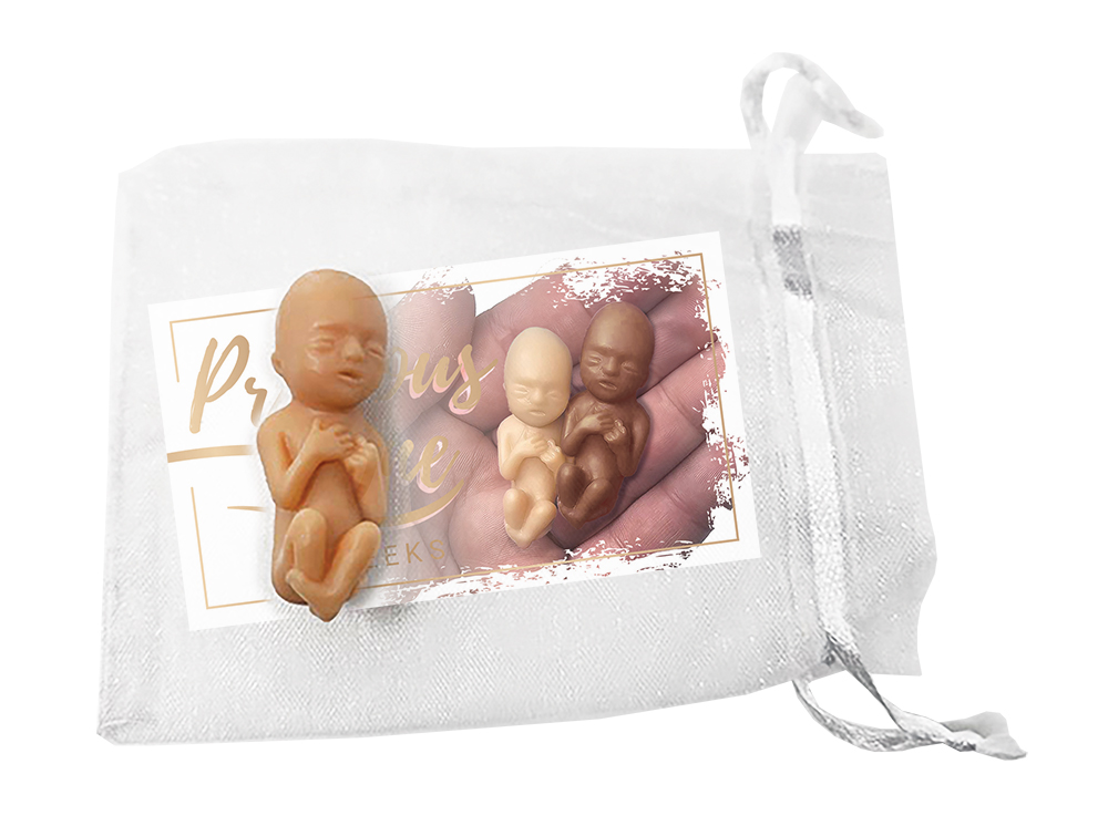 Fetal Model, Precious One, 10 Week White Individually Packaged English, 50/pk