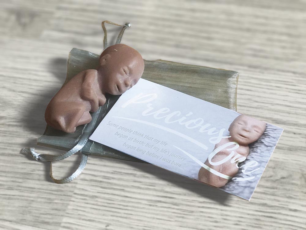 Fetal Model, Precious One, Brown Individually Package, English Card, 50/pk