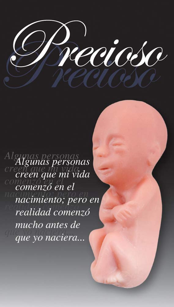 Fetal Model, Precious One, Spanish Card: Pack of (50)