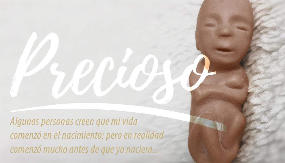 Fetal Model, Precious One, Blanket, Spanish Card : Pack of (40)