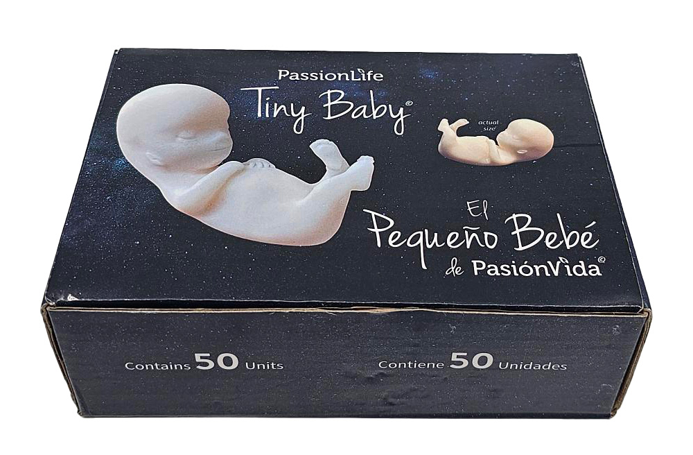 Fetal Model, Tiny Baby: Pack of (50)