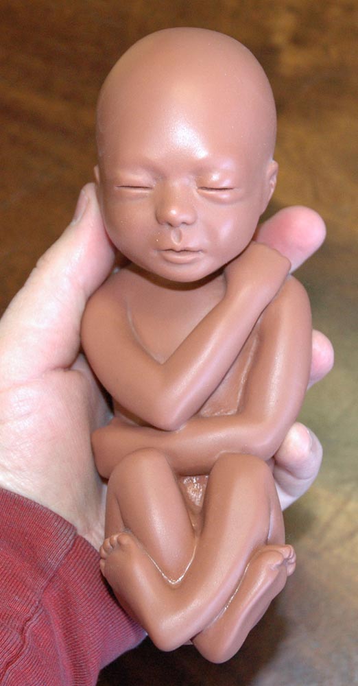 Fetal Model, Touch of Life, Baby Eve - Brown