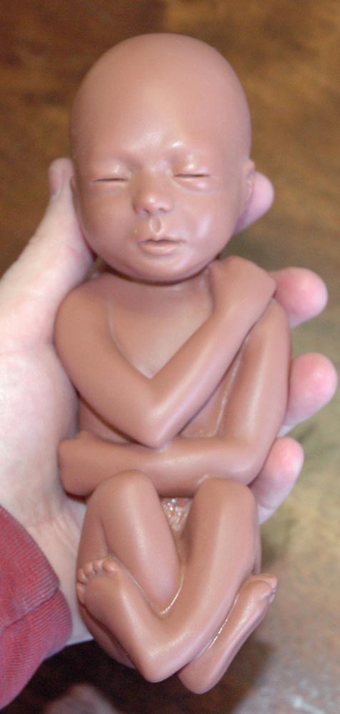 Fetal Model, Touch of Life, Baby Eve - Brown