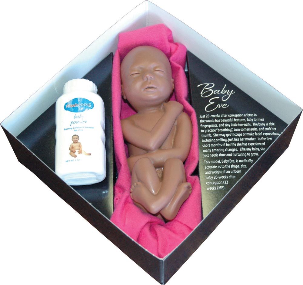 Fetal Model, Touch of Life, Baby Eve - Brown