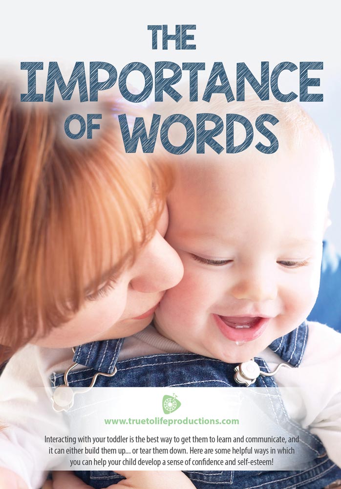 DVD, The Importance of Words