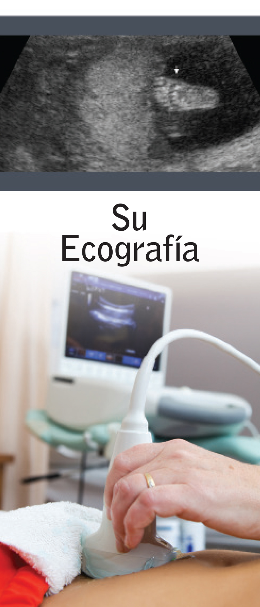 Literature, Your Ultrasound, Spanish, 50/pk