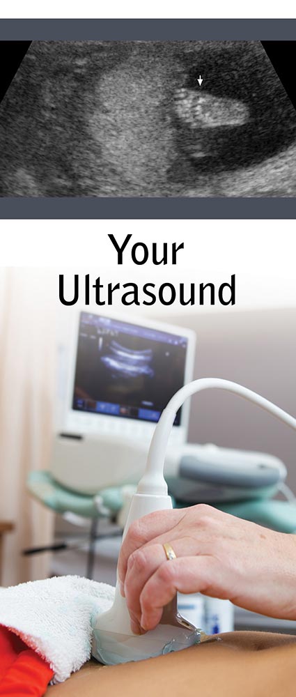 Literature, Your Ultrasound: Pack of (50)