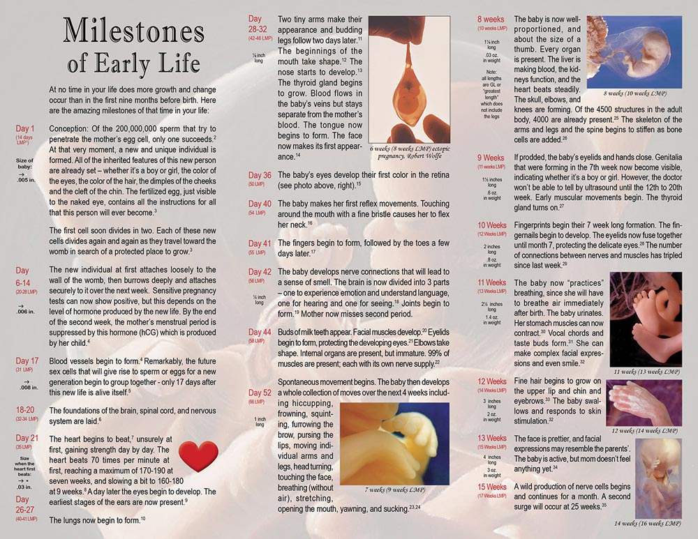 Literature, Milestones of Early Life: Pack of (50)