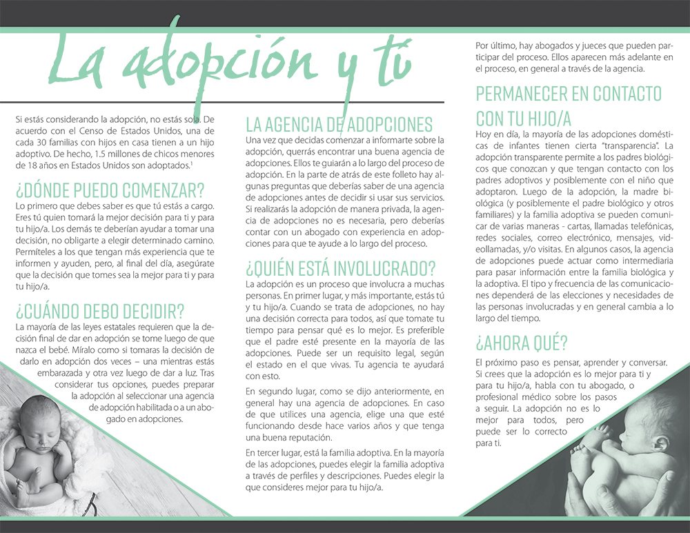 Literature, La Adopcion y tu, SPANISH: Pack of (50)