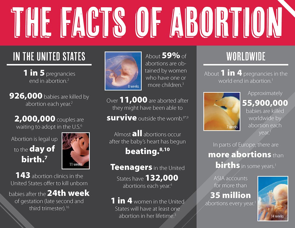 Literature, Abortion Facts: Pack of (50)