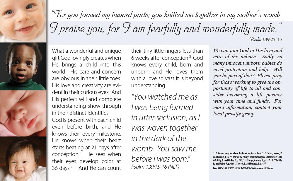 Bulletin, Beauty of God's Creation: Pack of (100)