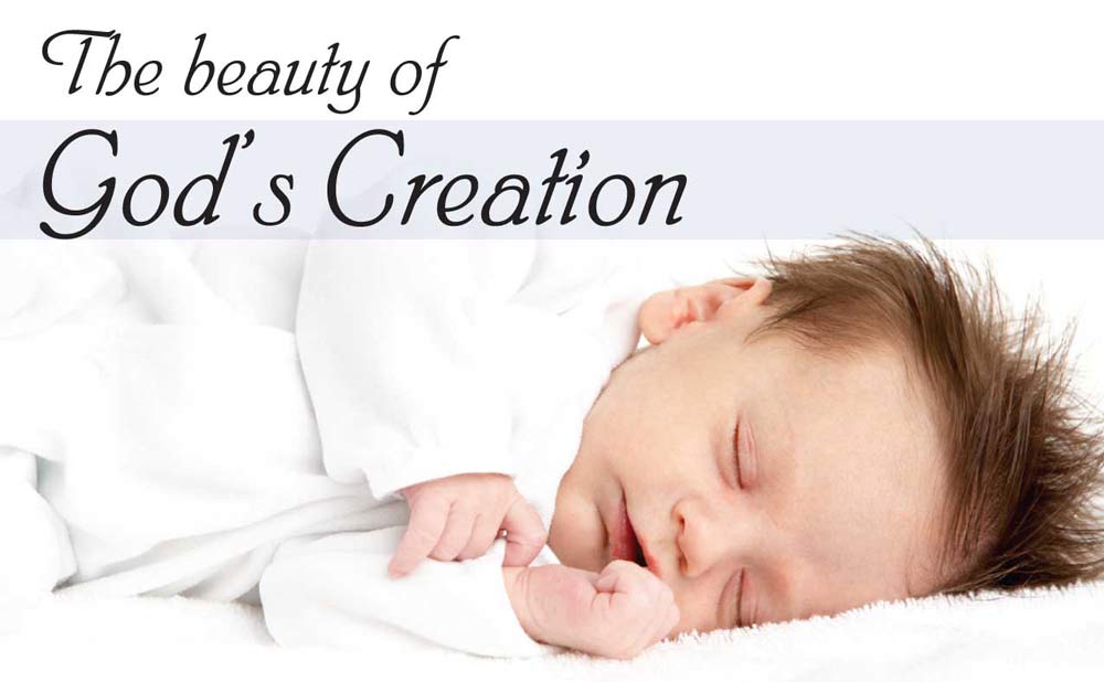 Bulletin, Beauty of God's Creation: 100/pk