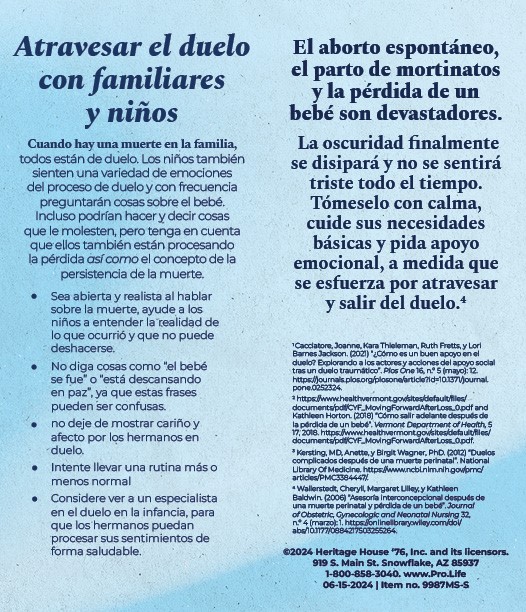 Literature, Aborto espontaneo parto de morinato perdida de un bebe  (Miscarriage, Stillbirth, Infant Loss): Pack of (50)