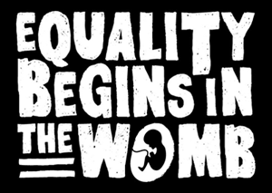 Vinyl Sign, Equality Begins in the Womb