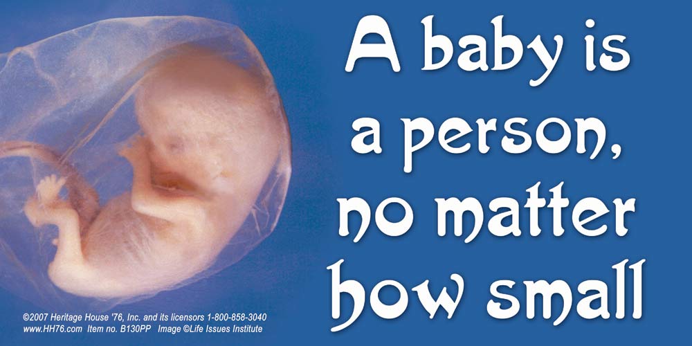 Vinyl Sign, A Baby is a Person
